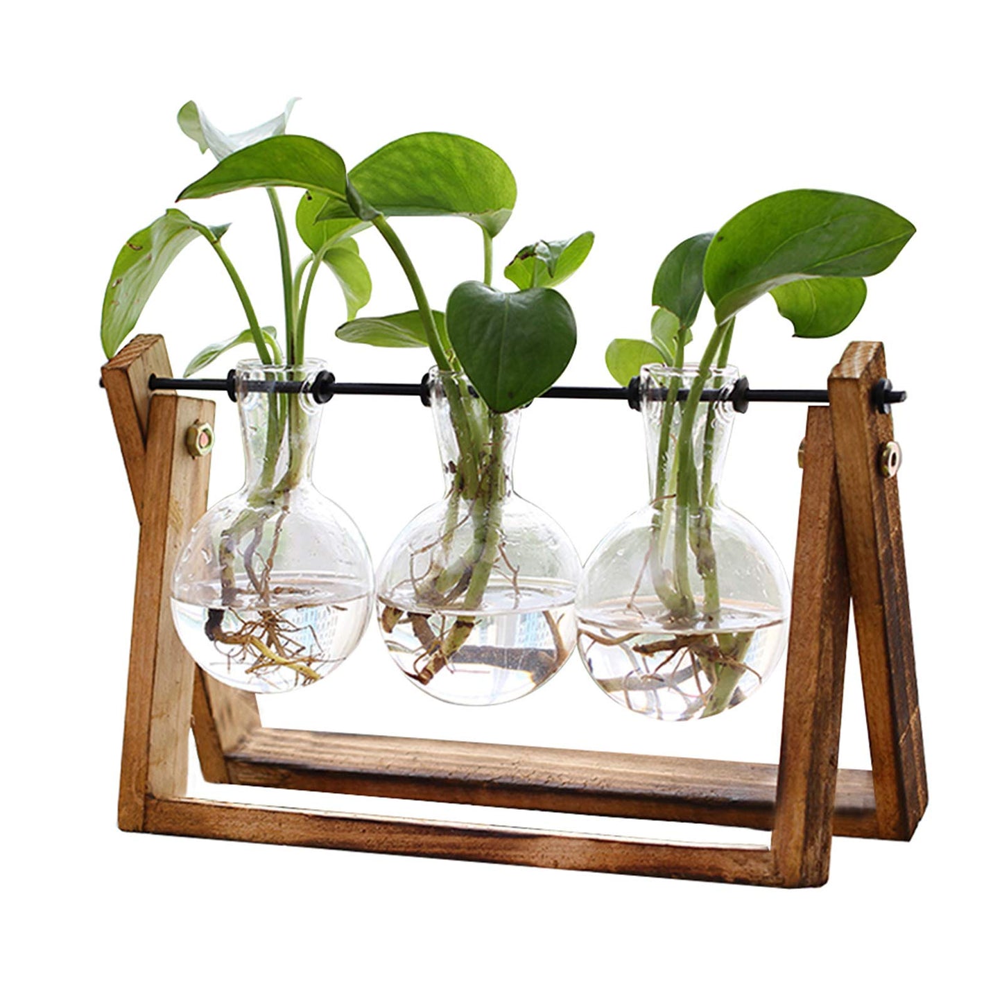 FLOWER Plant Terrarium with Wooden Stand