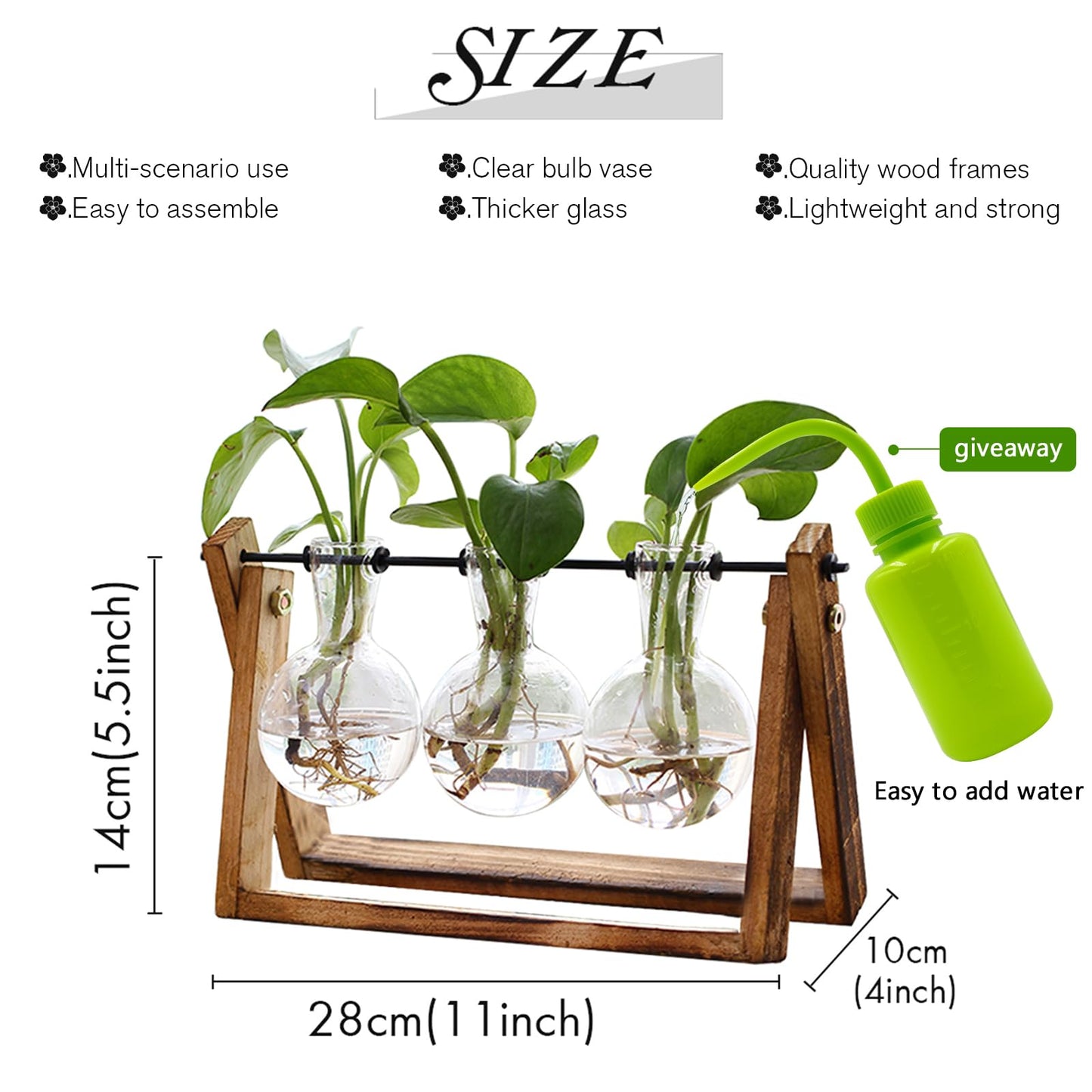 FLOWER Plant Terrarium with Wooden Stand