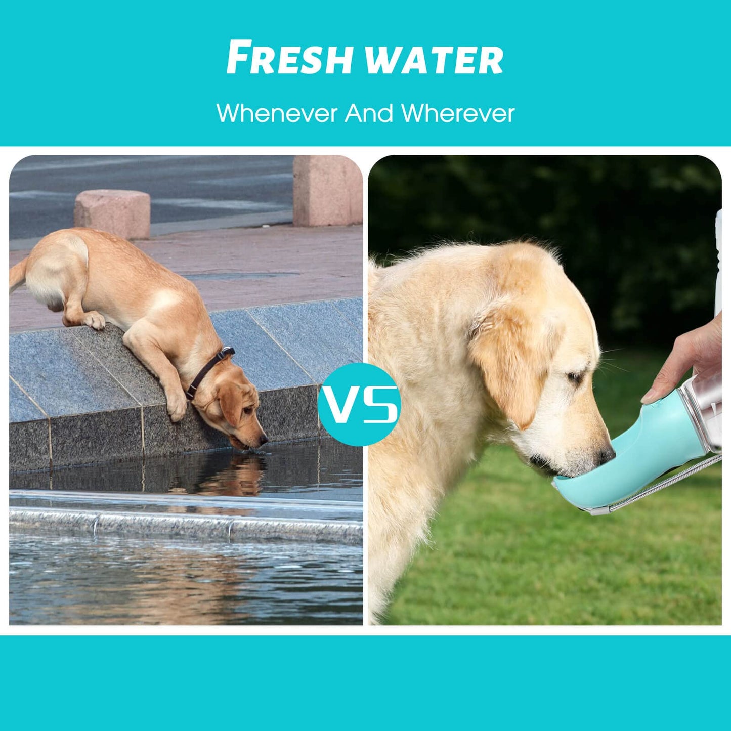 Dog Water Bottle, Leak Proof Portable Puppy