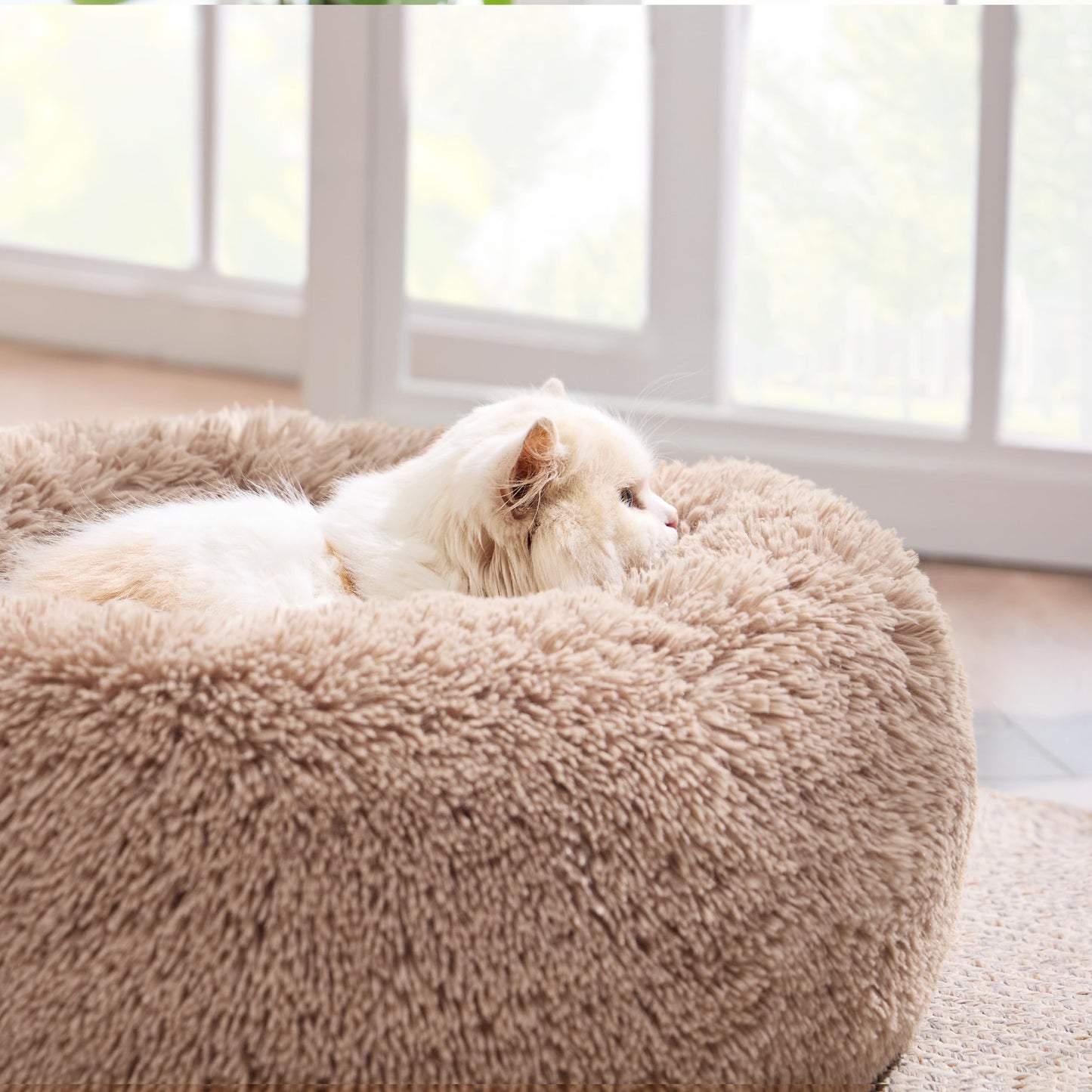 Calming Cat Beds for Indoor Cats