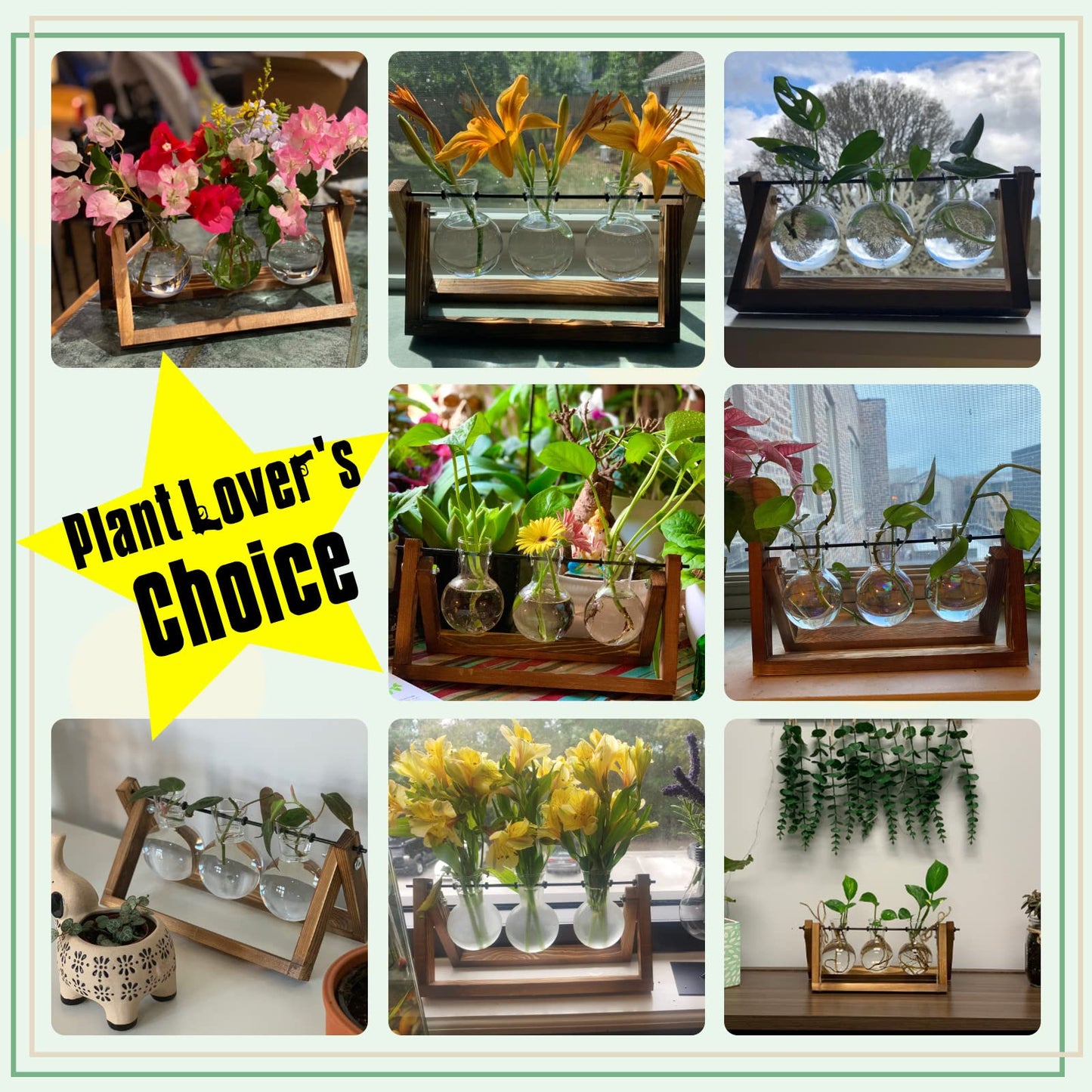 FLOWER Plant Terrarium with Wooden Stand